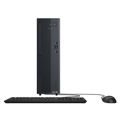 ASUS ExpertCenter P500 P500SV-13420H3X Small Form Factor PC