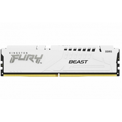 Kingston FURY Beast (KF560C36BWE2-16) 16GB System Memory